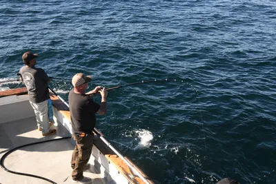 DSC_6669 (Large).JPG